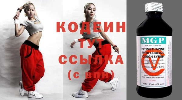 индика Абаза