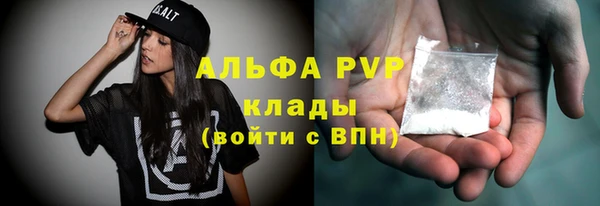 индика Абаза