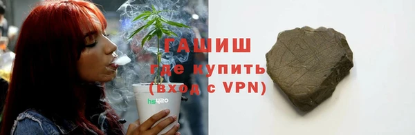 прущий лед Алзамай