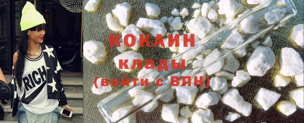индика Абаза