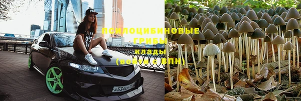 прущий лед Алзамай