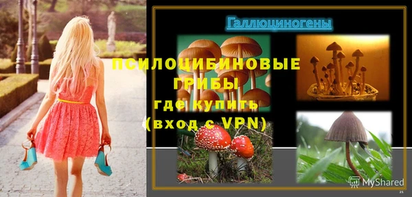 spice Алексин