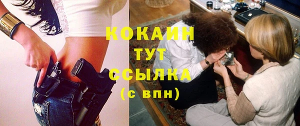 индика Абаза