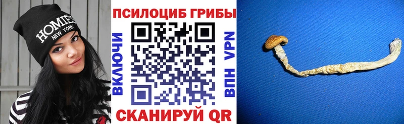 Псилоцибиновые грибы MAGIC MUSHROOMS Никольское